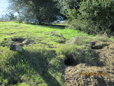 Preserving open space, protecting wildlife and habitat.